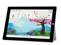 双牌Surface 无法开启、Windows 无法启动或电池无法充电