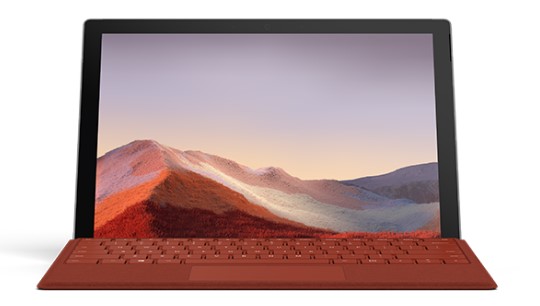 双牌清洁和维护 Surface